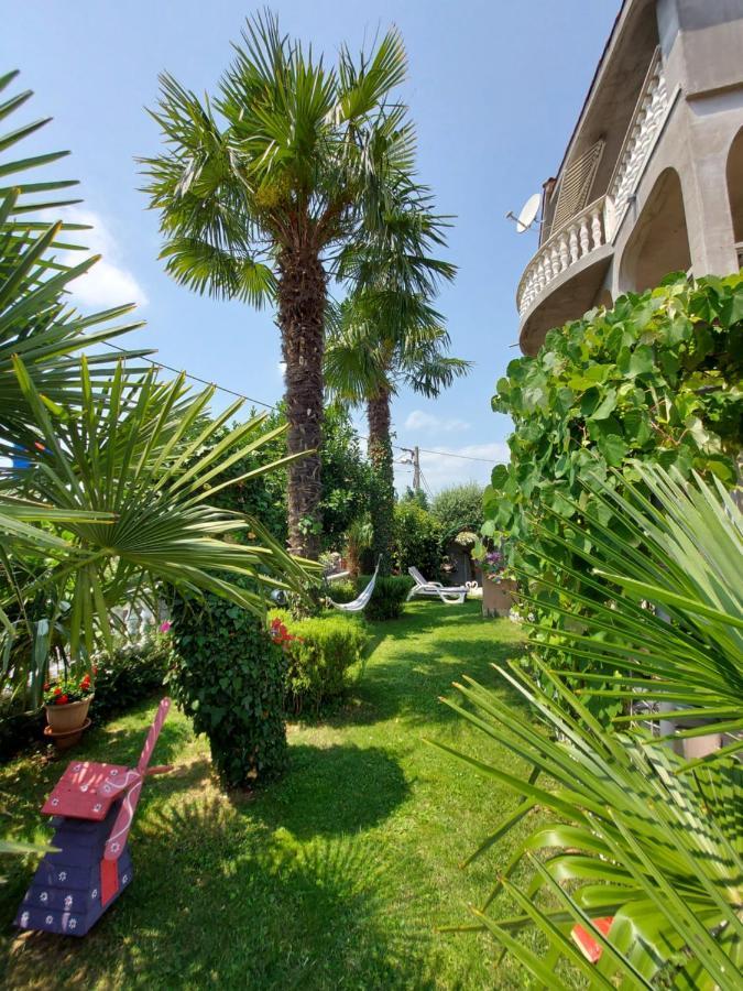 Apartman Palma Marinici  Extérieur photo