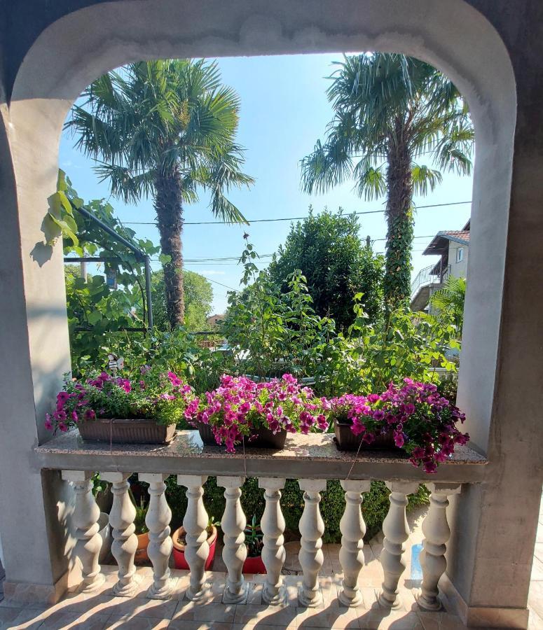 Apartman Palma Marinici  Extérieur photo