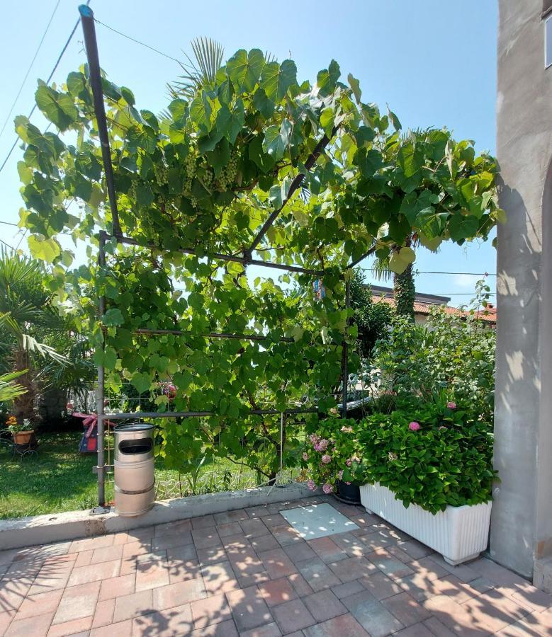 Apartman Palma Marinici  Extérieur photo