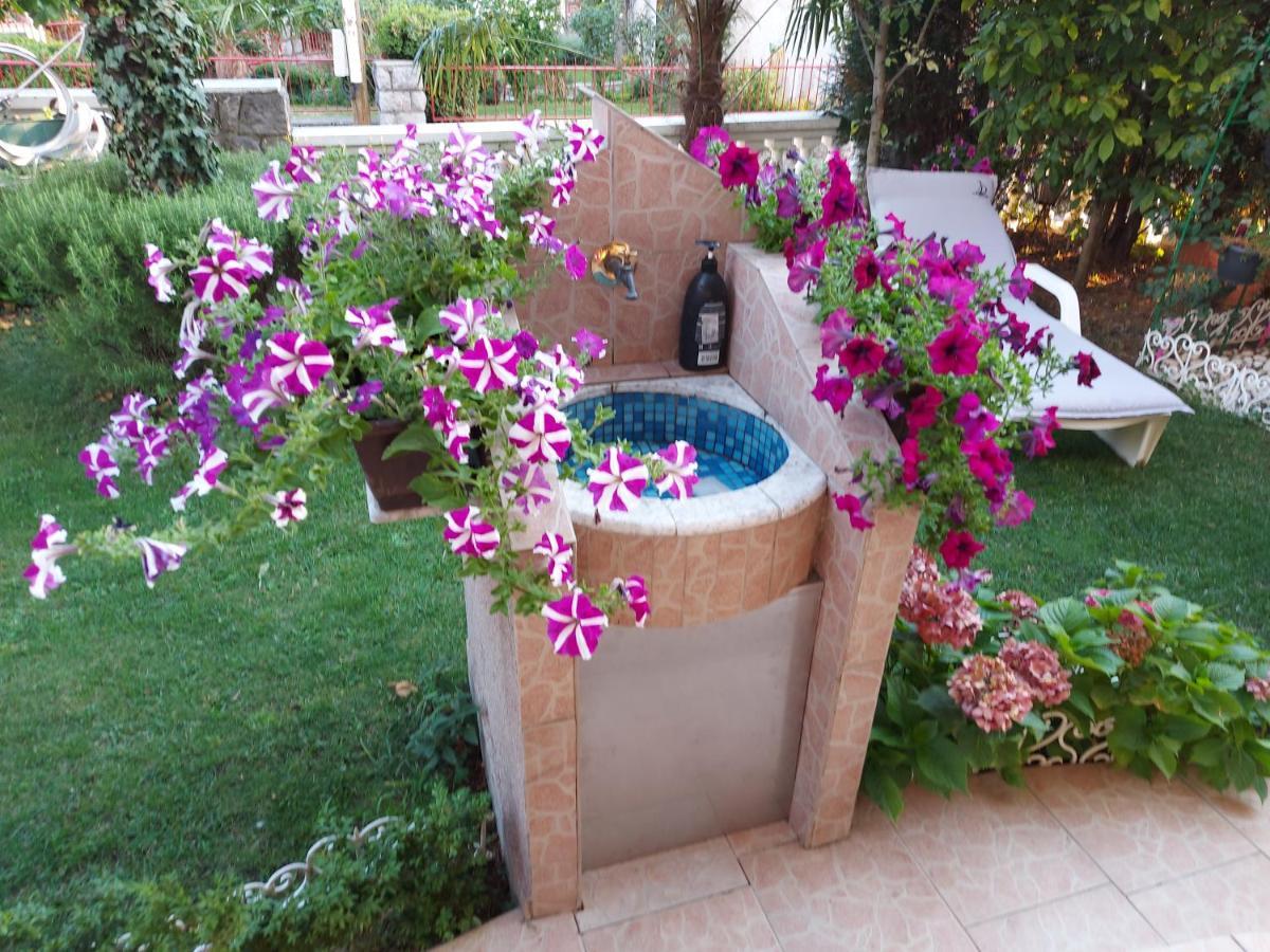 Apartman Palma Marinici  Extérieur photo